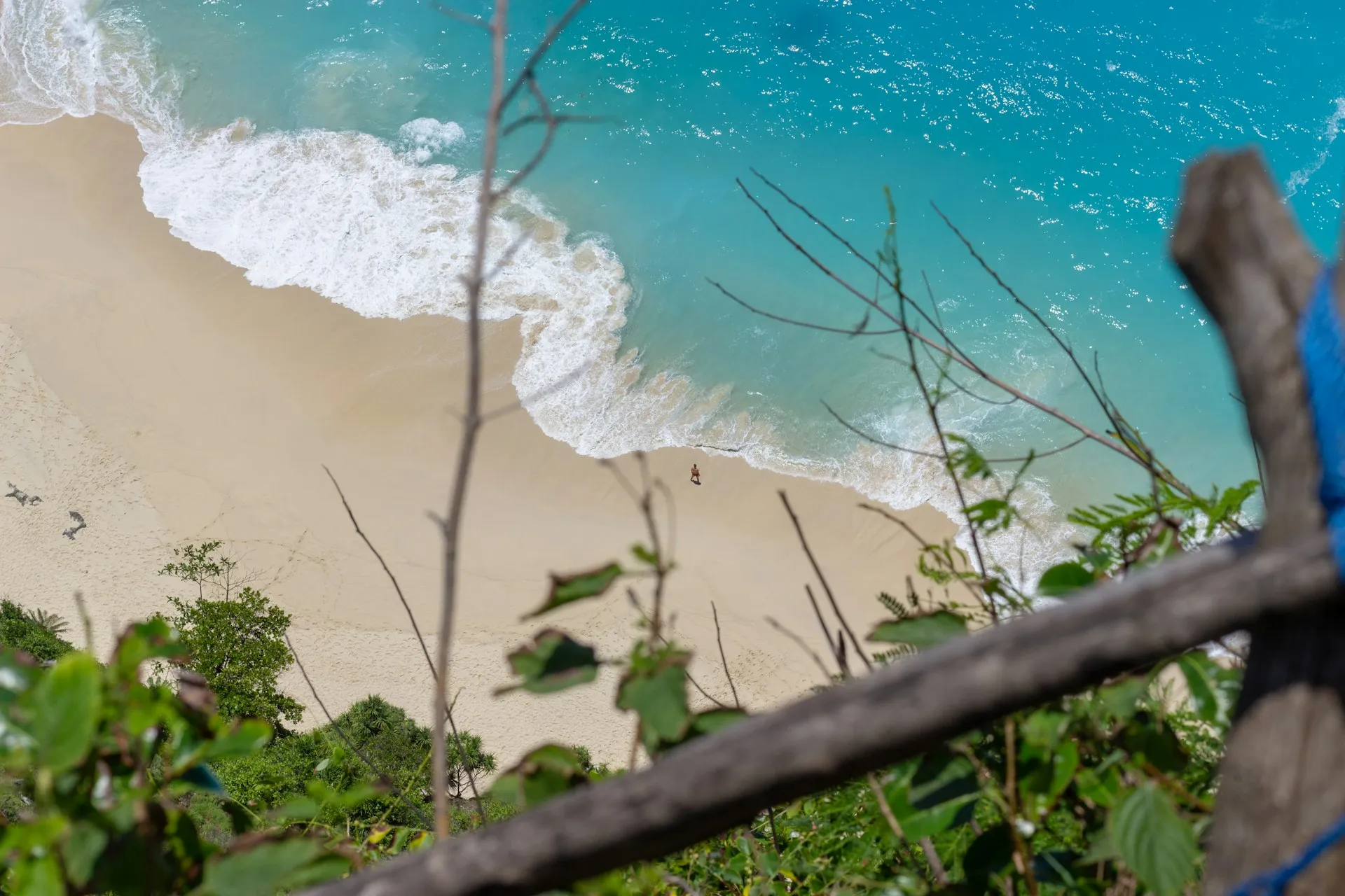 Turquoise ocean and dramatic cliffs at Kelingking Beach, Nusa Penida
