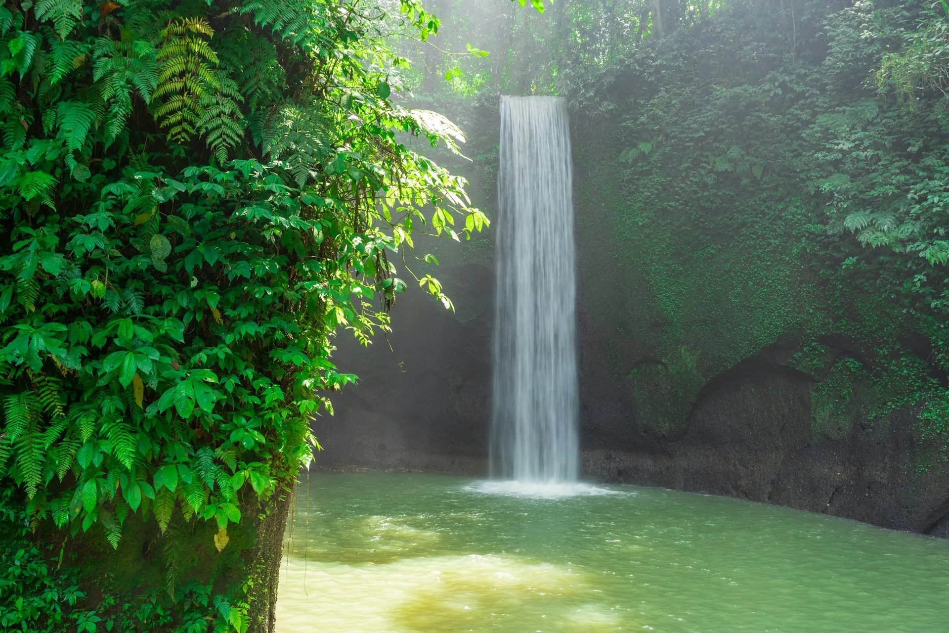 Tibumana waterfall in the lush Bali jungle